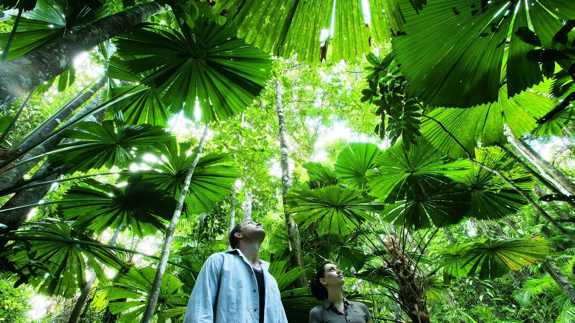 Where to Stay Near Flecker Botanic Gardens: 5 Airport Hotels