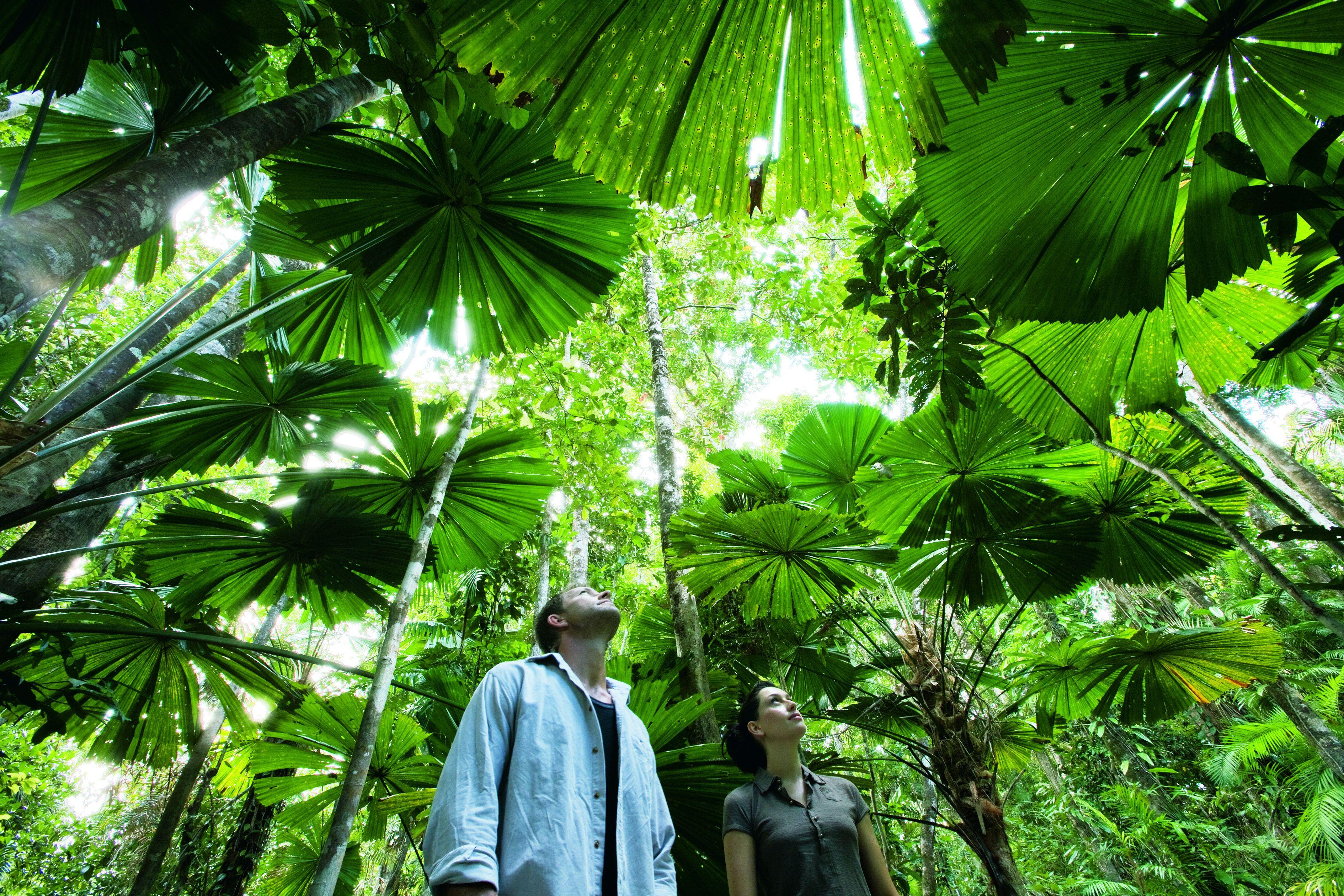 Where to Stay Near Flecker Botanic Gardens: 5 Airport Hotels